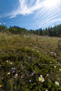Sawback Mountain, Highway 1A, Alberta, Canada